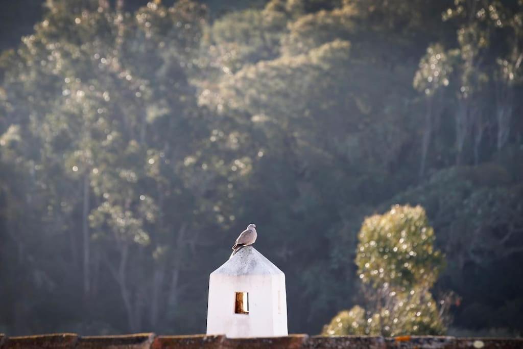 Casa Amado, Aldeia Da Pedralva Villa Vila do Bispo Ngoại thất bức ảnh